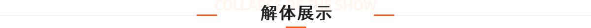 解体展示